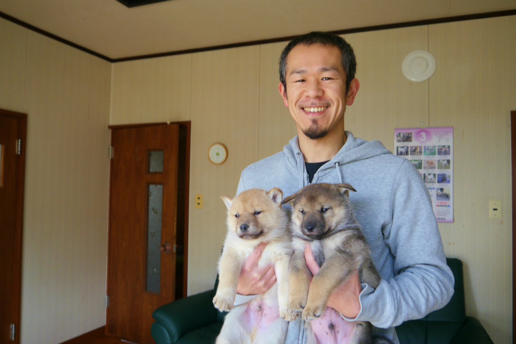 繁殖者の南氏と子犬達。繁殖者の南氏は北海道犬保存会若手では筆頭のハンドラーです。(3月25日撮影　生後37日目)
